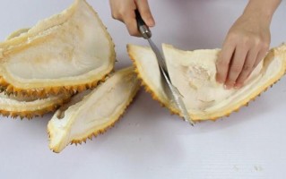 榴莲壳哪个位置能吃,榴莲壳吃哪里的最好