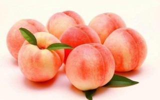 桃子是吃什么的,桃子吃什么部位