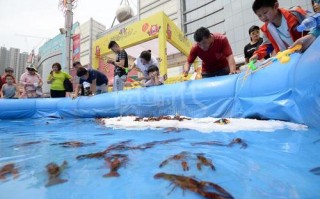 杭州乔司哪里可以钓龙虾,杭州哪家小龙虾好吃