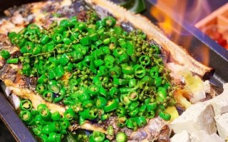 探鱼烤鱼是半成品吗,探鱼烤鱼怎么样了啊