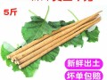 新鲜牛蒡哪里有卖（新鲜牛蒡哪里有卖的）