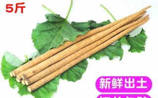 新鲜牛蒡哪里有卖（新鲜牛蒡哪里有卖的）