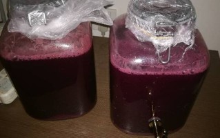 哪里买自酿红酒（哪里买自酿红酒便宜）