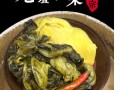 老坛酸菜是哪里特色菜（老坛酸菜长什么样）