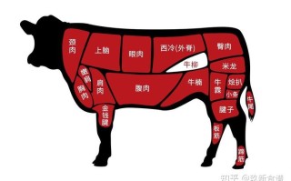 牛里脊是哪里（牛里脊是牛的哪里）