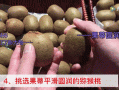果蒂在哪里（果蒂在什么位置图解）