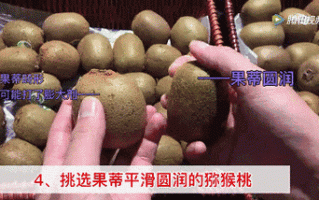 果蒂在哪里（果蒂在什么位置图解）