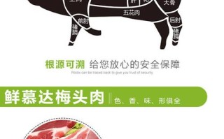 梅头肉在猪的哪个部位,梅头肉是哪里
