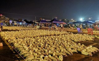 柳州哪里有做鸭的（柳州哪里有做鸭的地方）