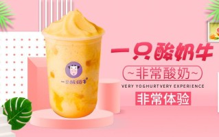开家一只酸奶牛怎么样（一只酸奶牛好评模板）