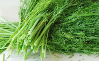 哪里有大料茴香（哪里有大料茴香卖啊）