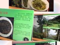 幸茶(上海分部)怎么样（贡山十大特产）