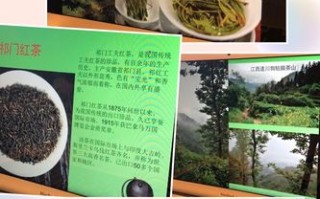 幸茶(上海分部)怎么样（贡山十大特产）