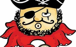 海贼章鱼君怎么样（海贼章鱼君怎么样好看吗）