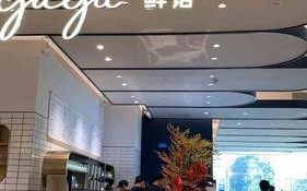 gaga鲜语品牌怎么样（gaga鲜语品牌怎么样啊）