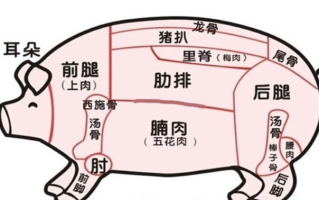 猪里脊肉是哪个部位,猪的里脊肉是哪里的肉