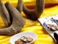为什么采鹿茸,鹿茸营养在哪里生长