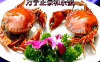 万宁哪里的和乐蟹（万宁和乐哪家和乐蟹做的最好）