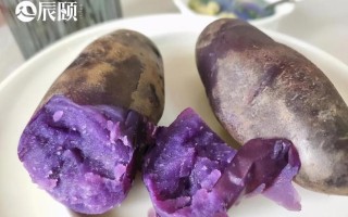 汪曾祺所说紫土豆哪里有,紫土豆哪里产的最好吃