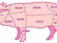 前夹肉是哪个部位,猪前夹肉是哪里的肉