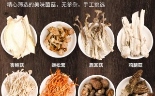 哪里又卖蘑菇包的（附近哪里有蘑菇包批发）