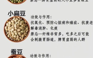 健康豆在哪里看（健康豆是啥）