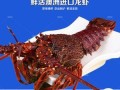 哪里有卖冷冻大龙虾的（澳龙直接冷冻还是冷藏）