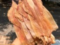 干鱿鱼在哪里买（干鱿鱼在哪里买便宜）