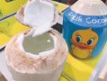 哪里椰子多 哪里鸭子多（什么地方的椰子最好吃）