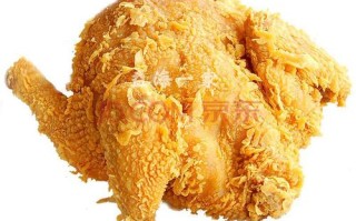 鸡柳腌料哪个牌子好,炸鸡队长加盟怎么样啊