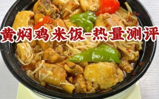 黄焖鸡的利润怎么样（黄焖鸡米饭一份的成本多少？10元一份的话利润有多少）
