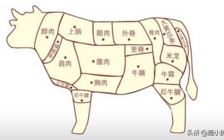 牛哪个部位脂肪少,牛肉哪里脂肪最少呢