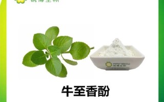 牛至香酚是什么,牛至叶怎么食用
