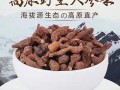 蕨麻哪里的最好（蕨麻哪里的最好吃）