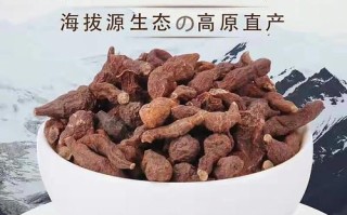 蕨麻哪里的最好（蕨麻哪里的最好吃）