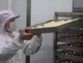 上海巴比馒头厂待遇怎么样,芭比馒头工资怎么样