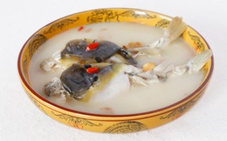 河豚肉哪里吃（河豚肉哪里吃最好）