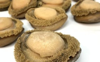 哪里鲍鱼好（南非干鲍与大连干鲍哪个好）