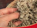 哪里有新鲜的艾草（哪里有卖新鲜的艾叶，泡脚要去买干的艾叶吗？哪里有卖）
