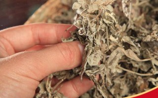 哪里有新鲜的艾草（哪里有卖新鲜的艾叶，泡脚要去买干的艾叶吗？哪里有卖）