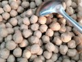 肉丸孑哪里买（肉丸子哪里有卖的）