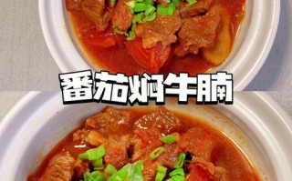 西红柿炖牛腩是哪里菜（西红柿炖牛腩的正宗做法）