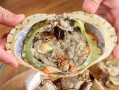 帝王蟹蟹黄是哪里,活的螃蟹蟹黄在哪里可以买到