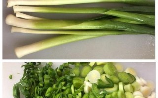 蒜苗要从哪里剪（蒜苗可以割着吃吗）