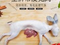 兔子杀哪里最好（杀兔子放血不放血的区别）