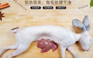 兔子杀哪里最好（杀兔子放血不放血的区别）
