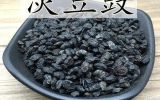 淡豆豉哪里有卖的（淡豆豉的做法）