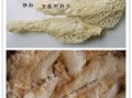 竹荪哪些地方不能吃,竹荪哪里不能吃图片