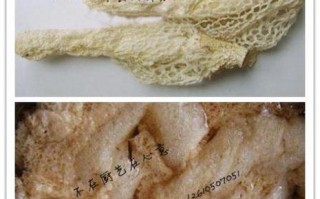 竹荪哪些地方不能吃,竹荪哪里不能吃图片