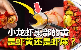 小龙虾的虾黄在哪里（小龙虾虾黄什么颜色）